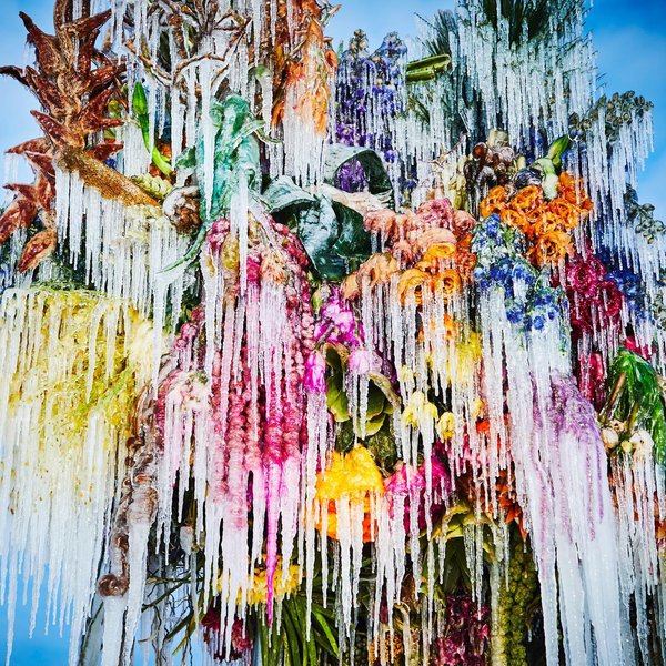 Thumbnail of p-clhpo87btai-51ef8e2cd4c147e1 1