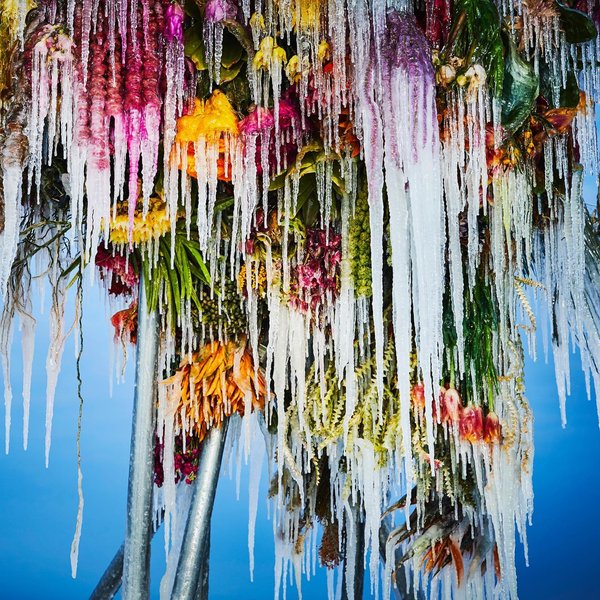 Thumbnail of p-clhpo87btai-51ef8e2cd4c147e1 2