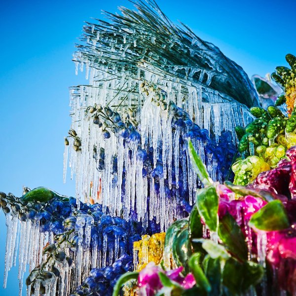 Thumbnail of p-clhpo87btai-51ef8e2cd4c147e1 3