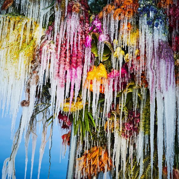 Thumbnail of p-clhpo87btai-51ef8e2cd4c147e1 4