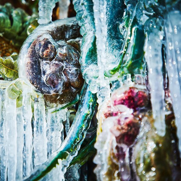 Thumbnail of p-clhpo87btai-51ef8e2cd4c147e1 6