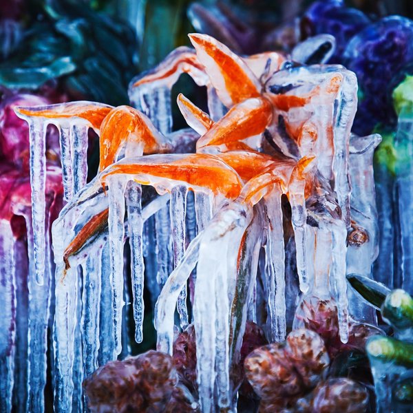 Thumbnail of p-clhpo87btai-51ef8e2cd4c147e1 7