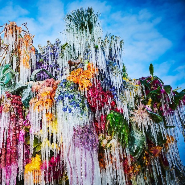 Thumbnail of p-clhpo87btai-51ef8e2cd4c147e1 8