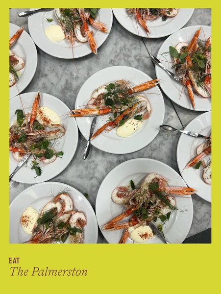 Thumbnail of p-dpjgsgecgea-51f4da0bc7af4bd6 1