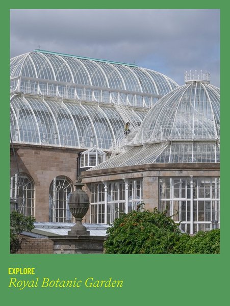 Thumbnail of p-dpjgsgecgea-51f4da0bc7af4bd6 8