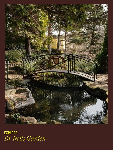 Thumbnail of p-dpjgsgecgea-51f4da0bc7af4bd6 9