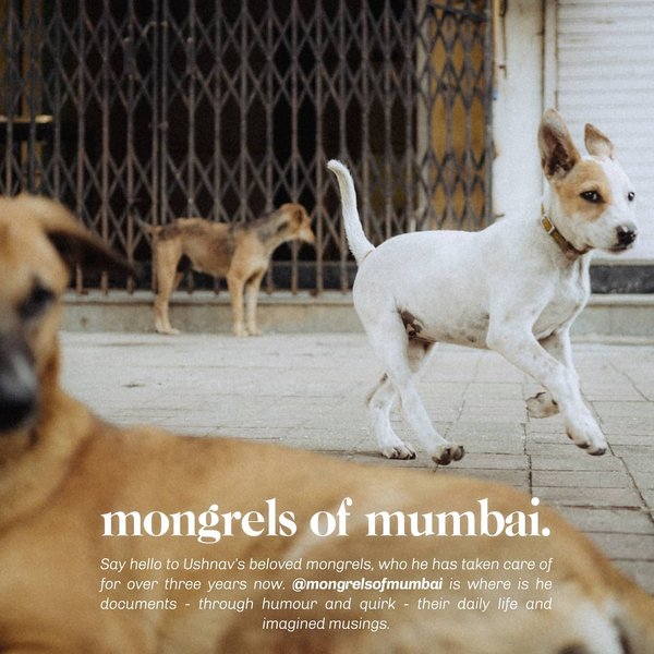 Thumbnail of p-cbdnxudln9c-5218d3b86f004c94 0