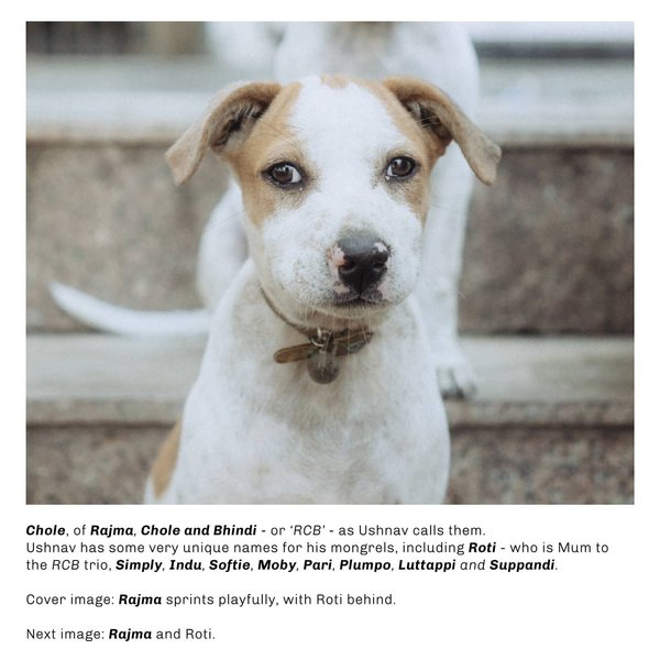 Thumbnail of p-cbdnxudln9c-5218d3b86f004c94 1