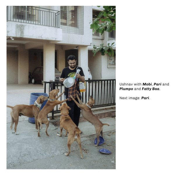 Thumbnail of p-cbdnxudln9c-5218d3b86f004c94 3