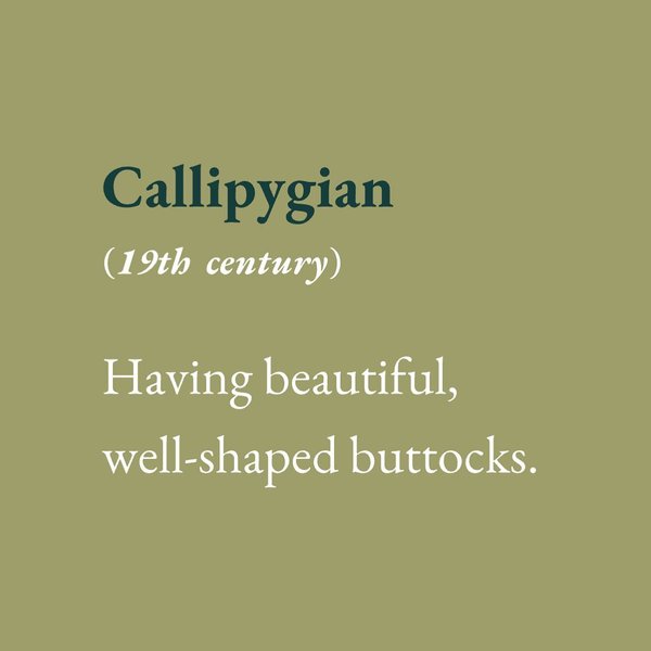 Thumbnail of p-csyx2xbsire-523c869525d94082 1