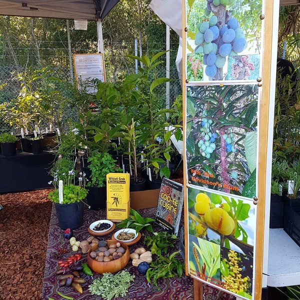 Thumbnail of p-bz1a8xzbpwe-524662deae624730 1