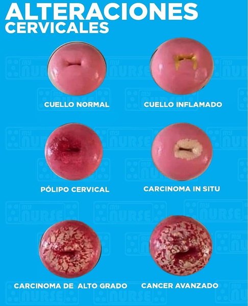 Thumbnail of p-btwjxl5nkdi-526ad0cbf7664a05 0