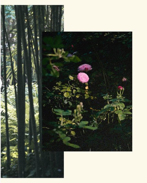 Thumbnail of c6-uwortlqz-52b27a42ce6d481f 9