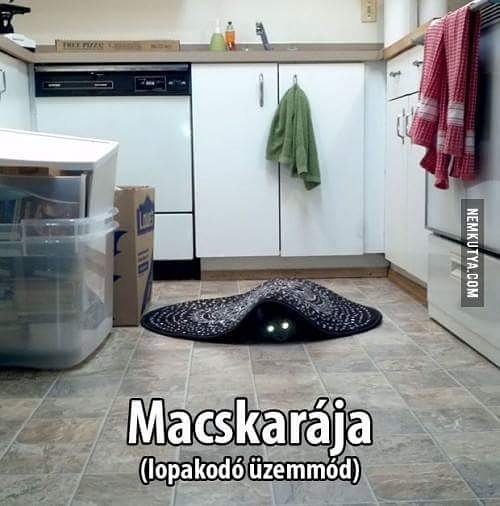 Thumbnail of bacfn-maxmk-52c603569ba4487f 0