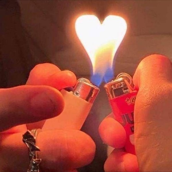 Thumbnail of www-instagram-com-p-dqajiygajtb 13