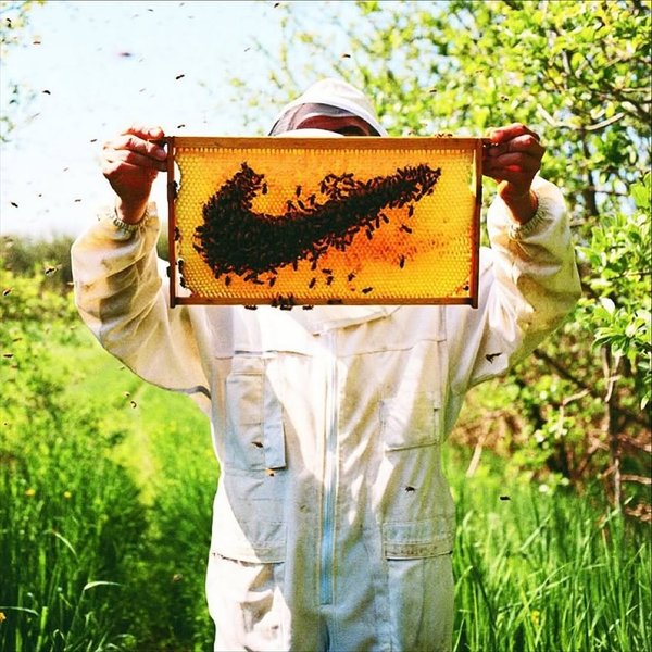 Thumbnail of www-instagram-com-p-dqajiygajtb 2