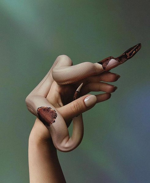 Thumbnail of p-cgndavvn7cj-5315129e3c3d4093 0