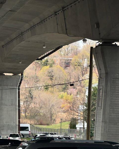 Thumbnail of p-dihldmwr5hh-531f17da081949a1 4