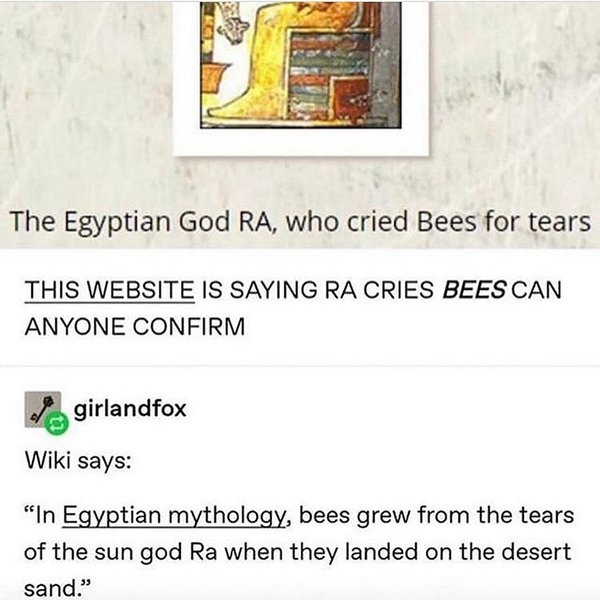 Thumbnail of p-b2xiyfqfkx6-532d58c3f9e44880 0