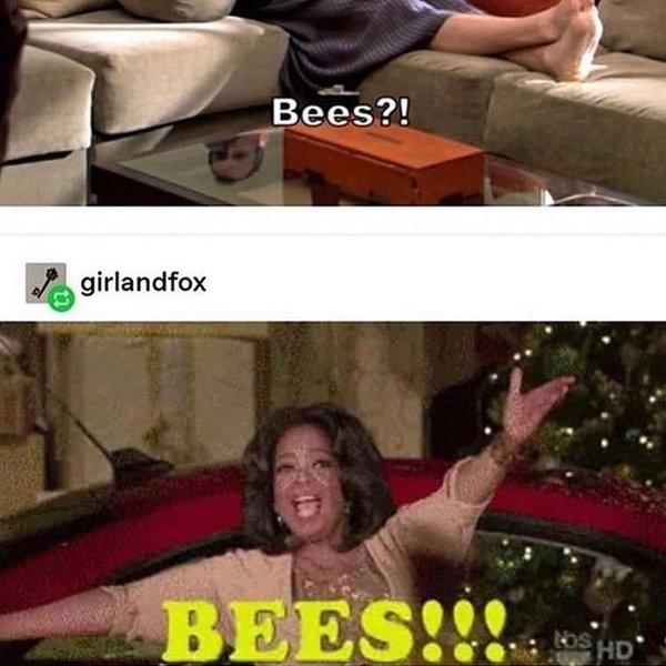 Thumbnail of p-b2xiyfqfkx6-532d58c3f9e44880 2