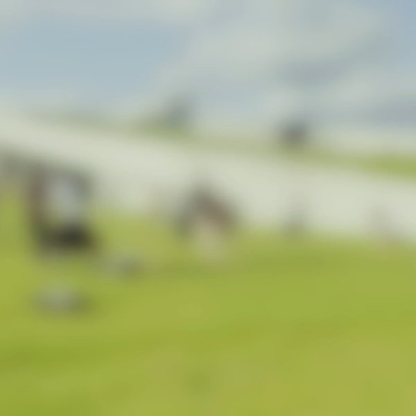 Thumbnail of p-des3bcbyqjf-5344e24270614c2d 4