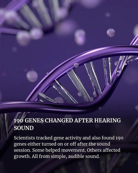 Thumbnail of www-instagram-com-p-dp6s61qkx-r-img-index-1 4