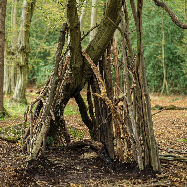 Thumbnail of p-cgw5o9majii-53cab7046b2c497e 2