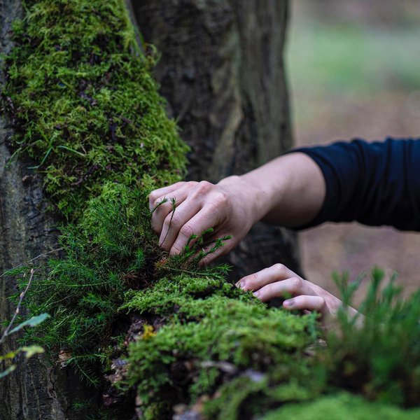 Thumbnail of p-cgw5o9majii-53cab7046b2c497e 3