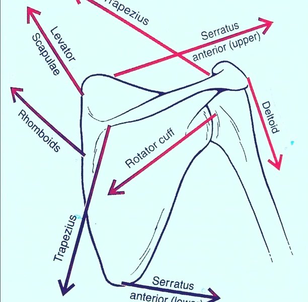 Thumbnail of p-b05vwgndhat-53cc47419e4d4be4 0