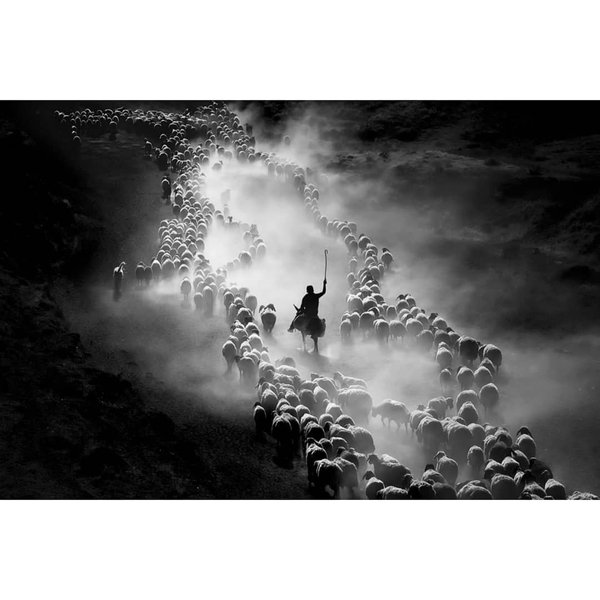 Thumbnail of p-b7lwfa6hgg7-53f21c7e8a864b0b 0