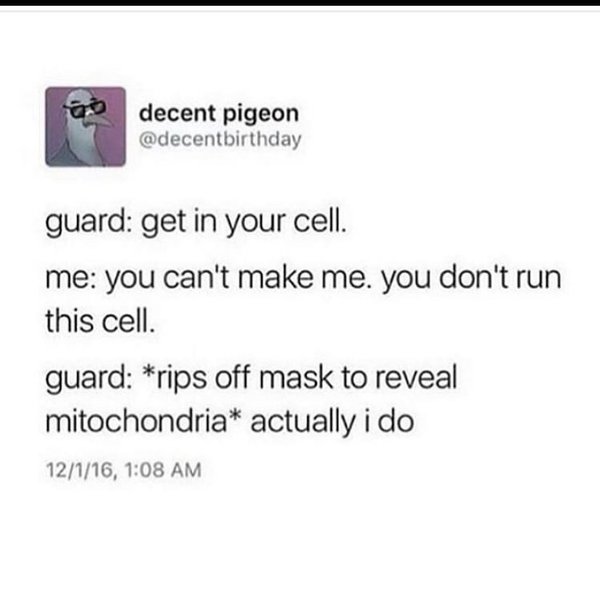 Thumbnail of p-b6zq91xljgb-5402859f037d4b22 0