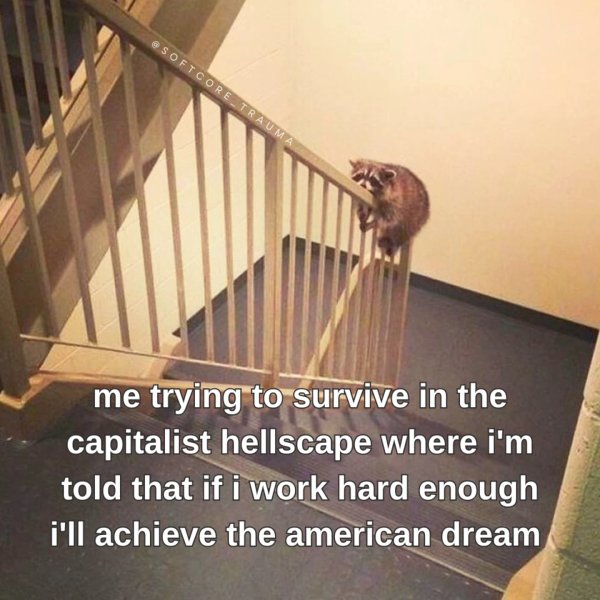 Thumbnail of p-dg1hyobrkhf-5410c2ba33da4a53 1