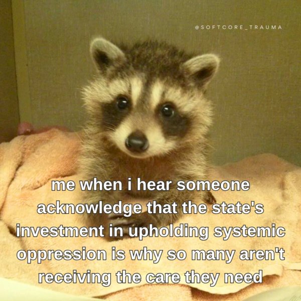 Thumbnail of p-dg1hyobrkhf-5410c2ba33da4a53 2