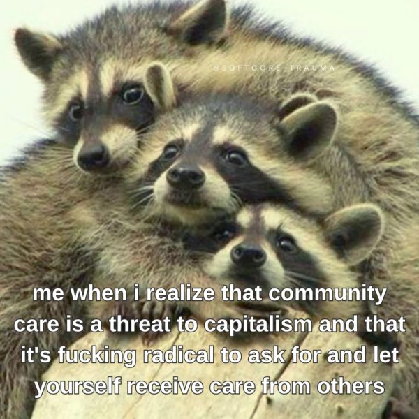 Thumbnail of p-dg1hyobrkhf-5410c2ba33da4a53 3