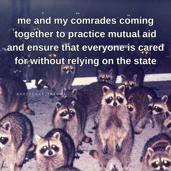 Thumbnail of p-dg1hyobrkhf-5410c2ba33da4a53 6