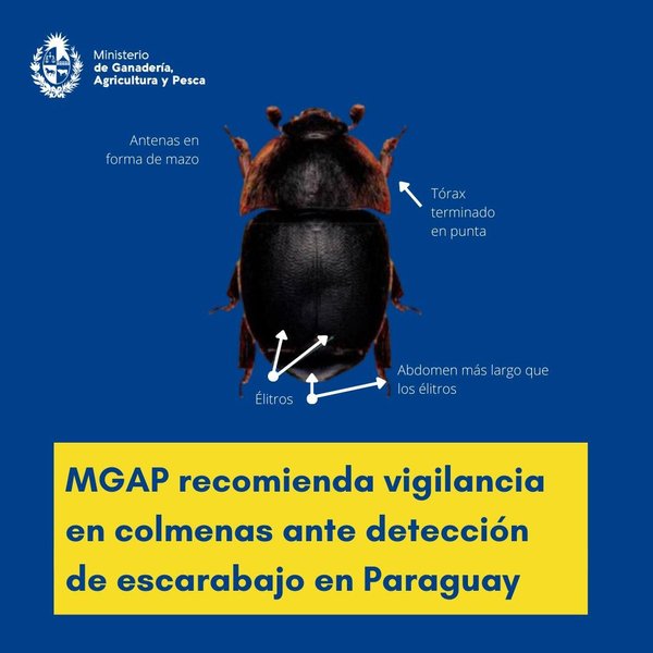 Thumbnail of cdwef-2t4ll-5446fdcbd2a149f2 0