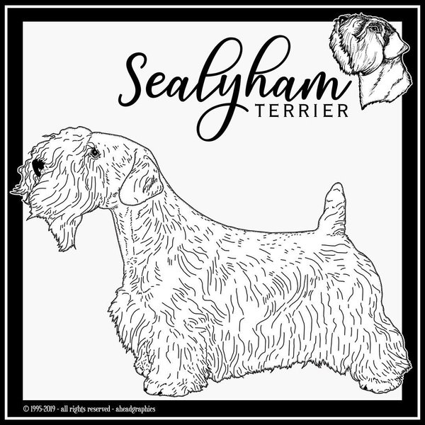 Thumbnail of p-btfgvcvankk-5459501acb474f62 0