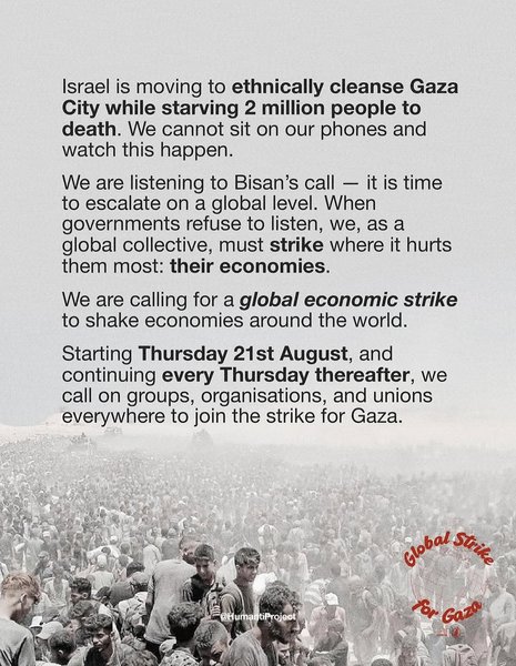 Thumbnail of p-dndvzznn9jp-545f97e511b543a5 1