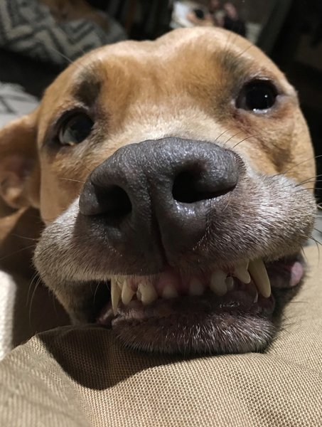 Thumbnail of p-dmisiogmjqv-548431daf96847f8 1