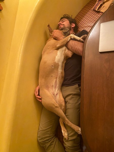 Thumbnail of p-dmisiogmjqv-548431daf96847f8 3