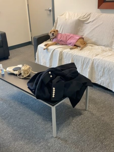 Thumbnail of p-dmisiogmjqv-548431daf96847f8 4