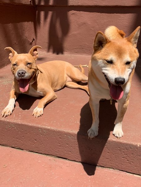 Thumbnail of p-dmisiogmjqv-548431daf96847f8 6