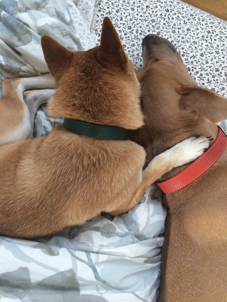 Thumbnail of p-dmisiogmjqv-548431daf96847f8 7