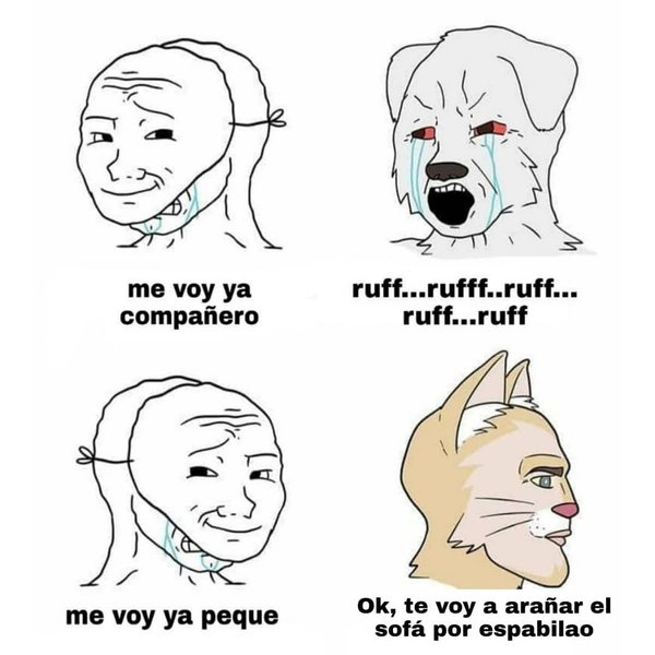 Thumbnail of p-co0fs3bf3ty-549fab40eb794db2 0