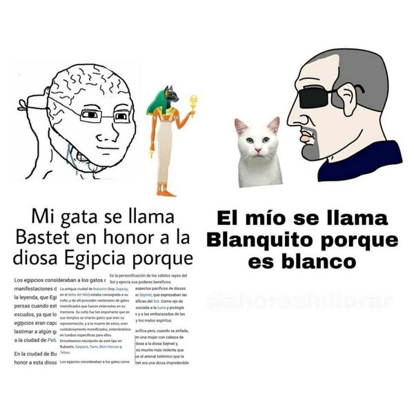 Thumbnail of p-co0fs3bf3ty-549fab40eb794db2 1