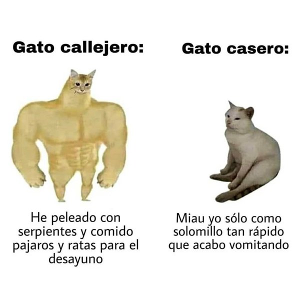 Thumbnail of p-co0fs3bf3ty-549fab40eb794db2 2