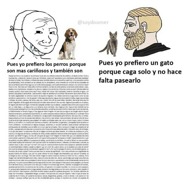 Thumbnail of p-co0fs3bf3ty-549fab40eb794db2 3