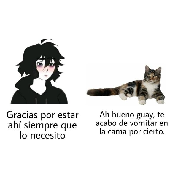 Thumbnail of p-co0fs3bf3ty-549fab40eb794db2 4