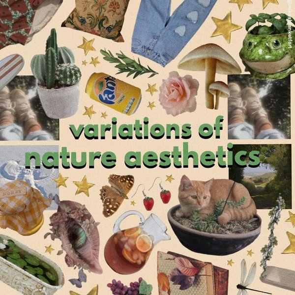 Thumbnail of p-ch79bgandfl-54adc505cf2b459f 0