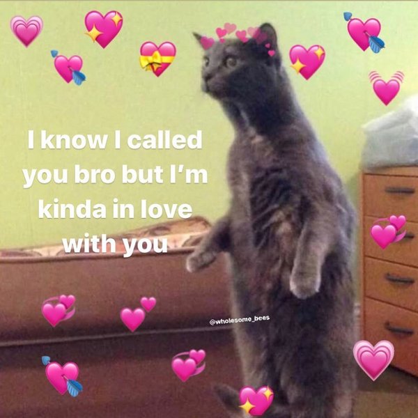 Thumbnail of p-b76f6bjfnpc-54c30829258944dc 0